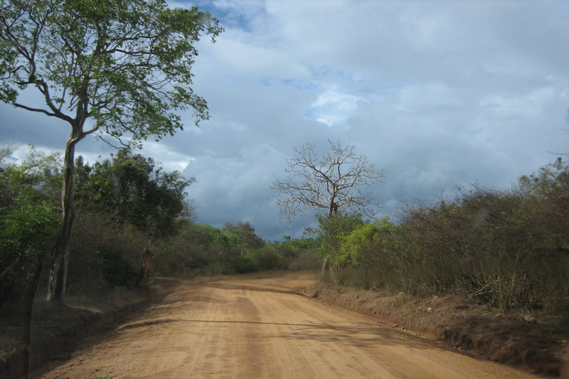 Sri Lanka, Yala National Park